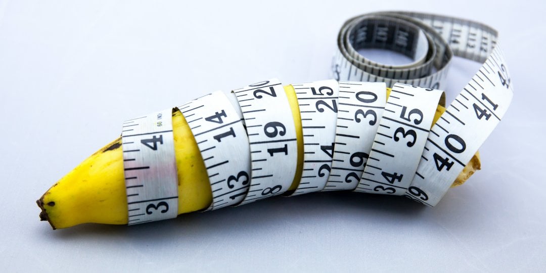 Moderate Erect Penis Girth and Length