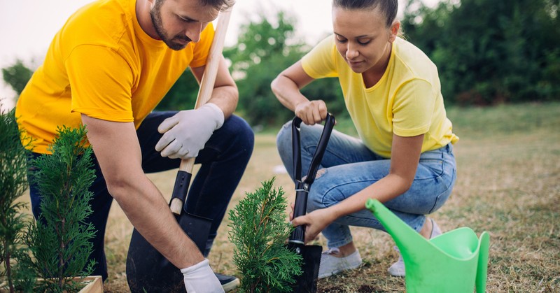 Couple volunteering serving collectively planting tree