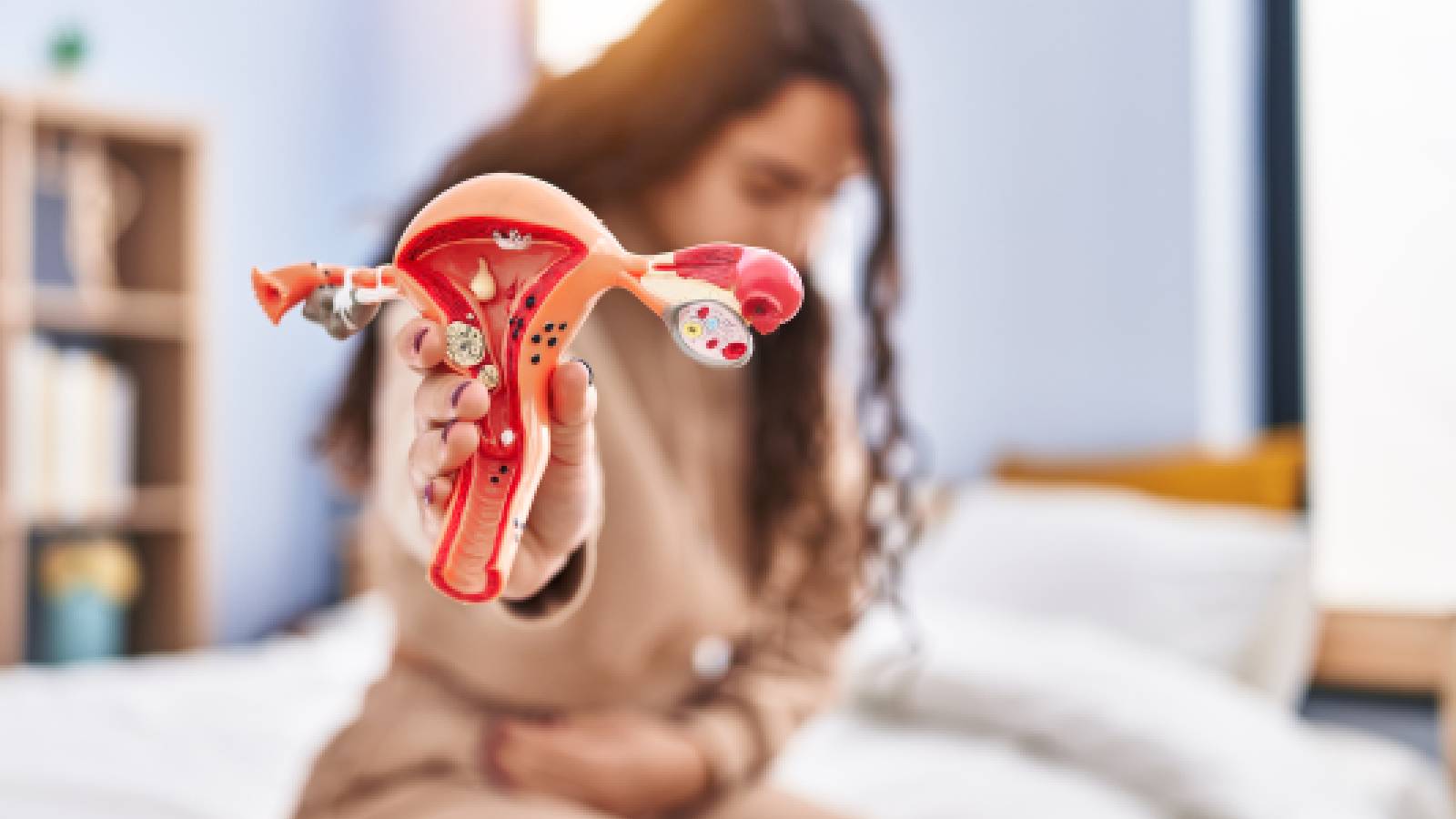 A lady preserving mannequin of reproductive machine